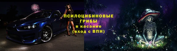 СК Протвино