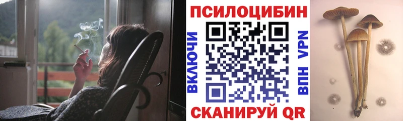 Псилоцибиновые грибы прущие грибы  Игарка 